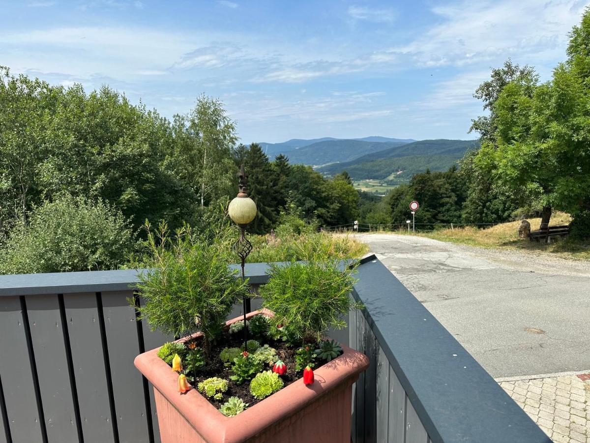 Modernes Top Apartment Mitten Im Bayerischen Wald + Wlan Kostenfrei Schöfweg 外观 照片