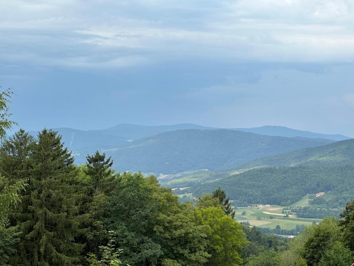 Modernes Top Apartment Mitten Im Bayerischen Wald + Wlan Kostenfrei Schöfweg 外观 照片